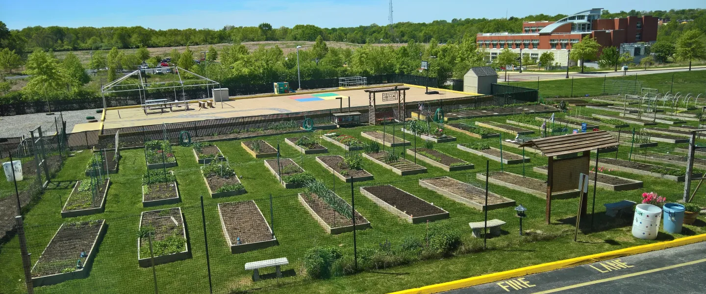 Community Garden