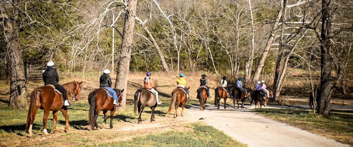 Kids riding horses along a wooded trail led by camp staff