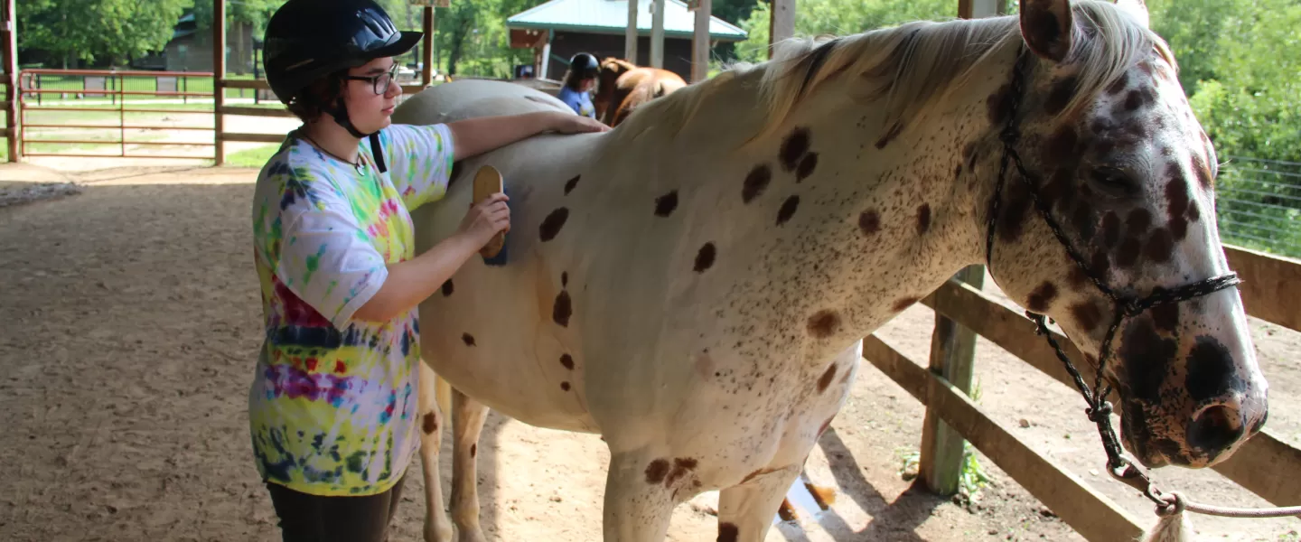 horse grooming at ymca trout lodge triangle y ranch