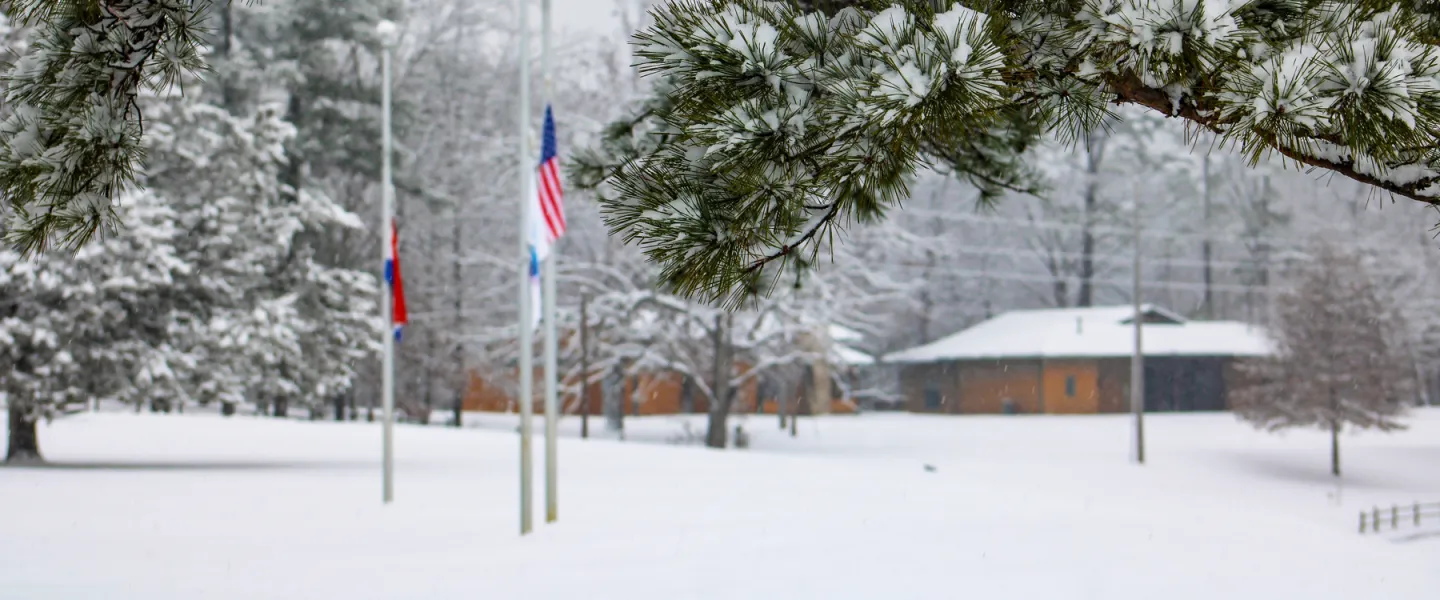 Frost-covered pine branches in the foreground with quiet snow-covered cabins in the background.