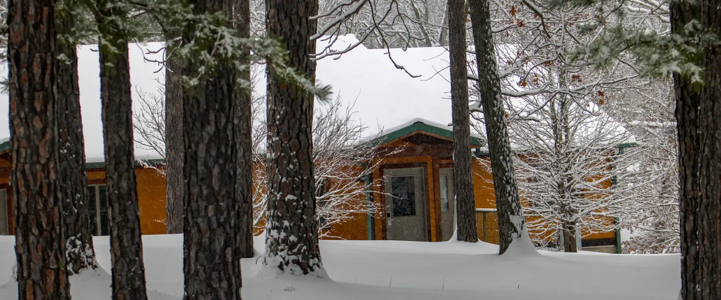 View of a cozy Forest View Cabin nestled in the snow-covered trees of the Ozark Hills forest on Trout Lodge's campus.