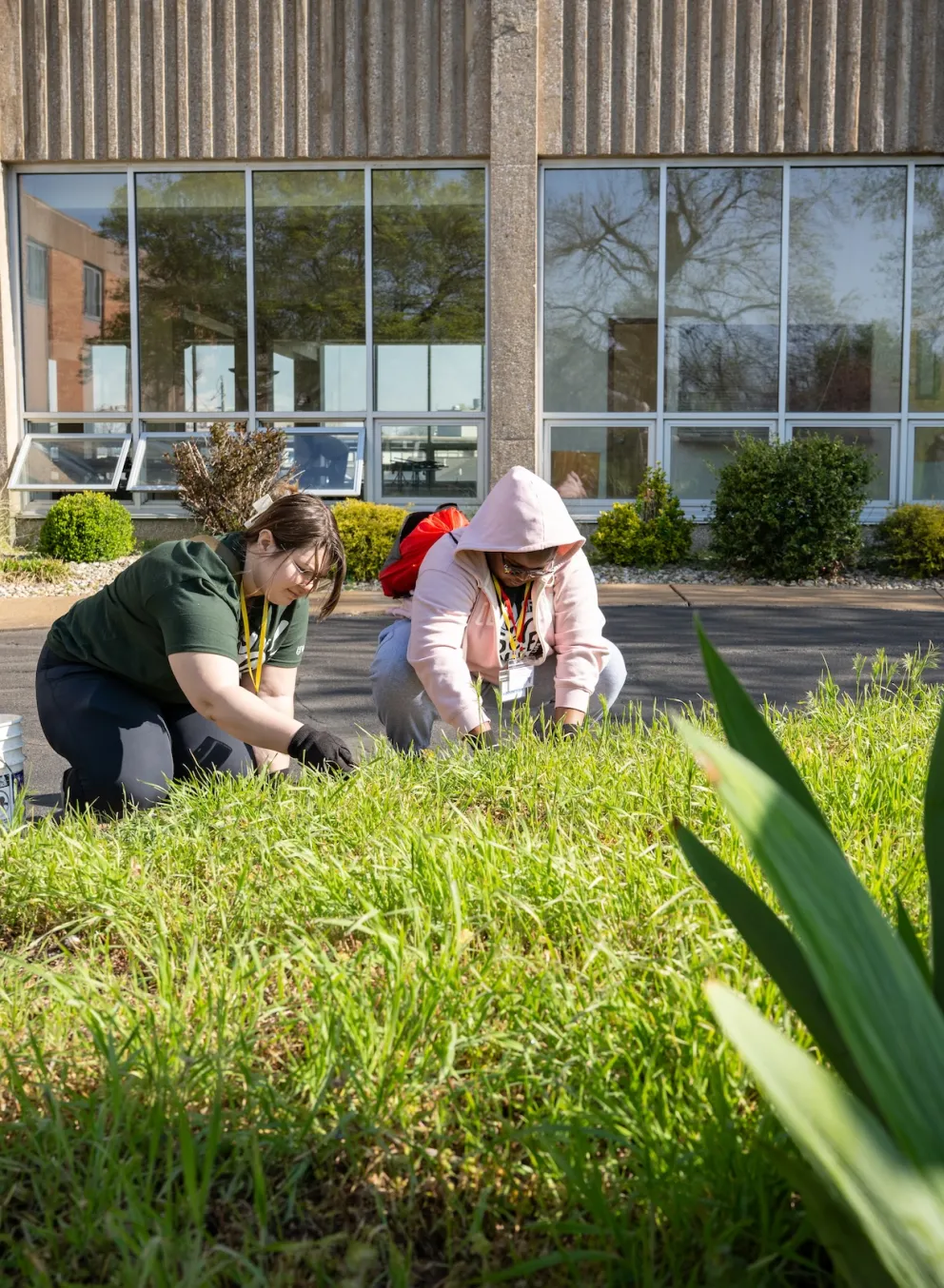 volunteers at washu campus y