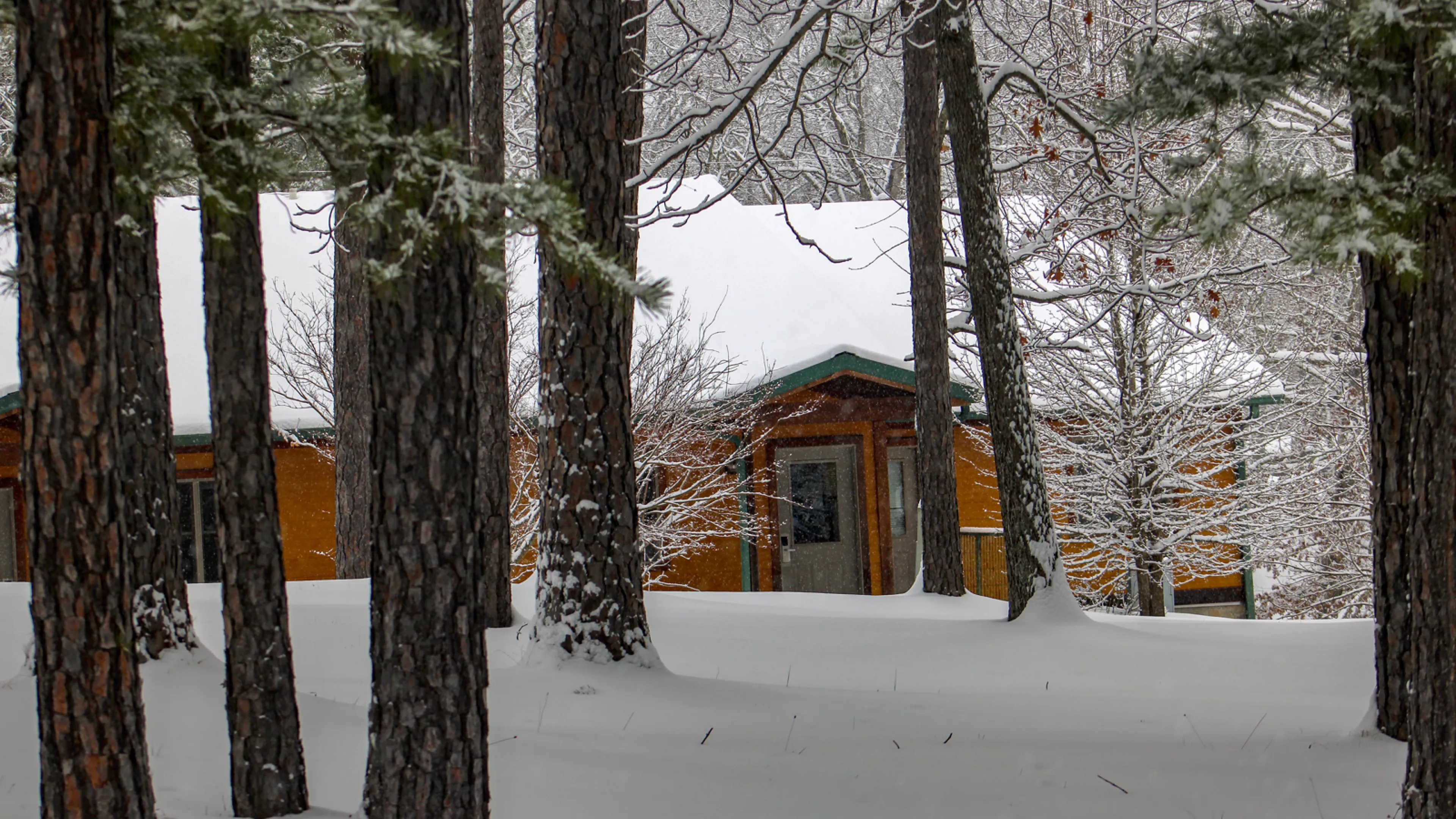 View of a cozy Forest View Cabin nestled in the snow-covered trees of the Ozark Hills forest on Trout Lodge's campus.