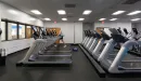 Thumbnail: Cardio area with rows of treadmills and ellipticals