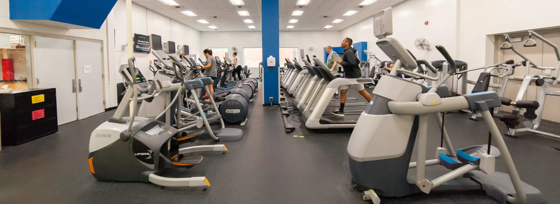 Cardio room with rows of treadmills, ellipticals, and zero-impact trainers.